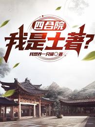 四合院：我是土著？