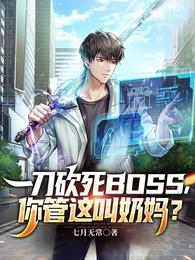 一刀砍死BOSS，你管这叫奶妈