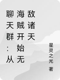 聊天群：从海贼开始无敌诸天星灵之光