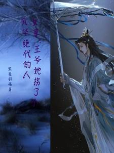 女尊：王爷她拐了个风华绝代的人紫夜羽殇