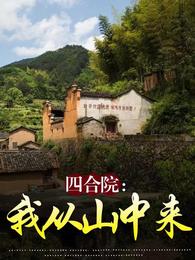 四合院：我从山中来