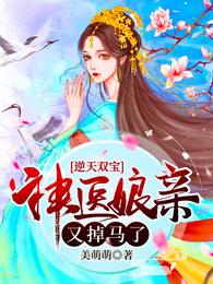 逆天双宝：神医娘亲又掉马了美萌萌