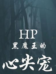 hp黑魔王的心尖宠