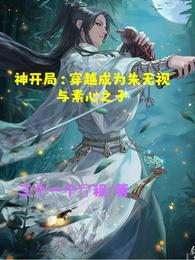 神开局：穿越成朱无视与素心之子