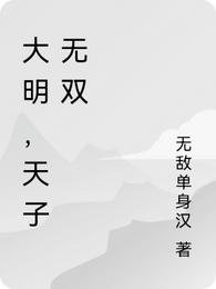 大明，天子无双